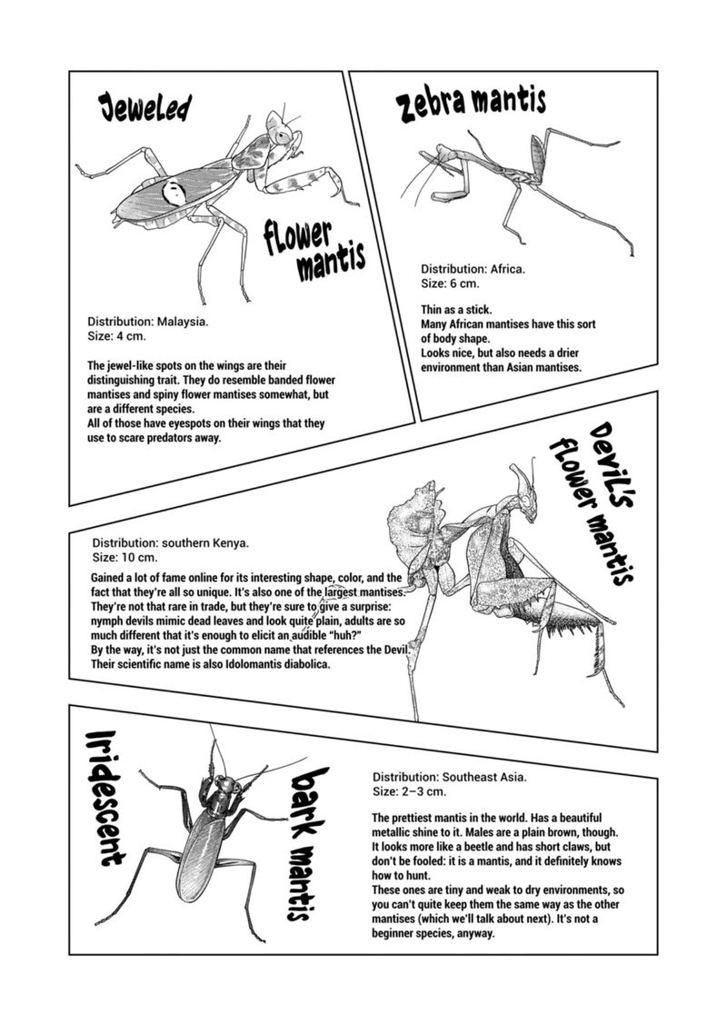 Himitsu No Reptiles Chapter 107 Page 12