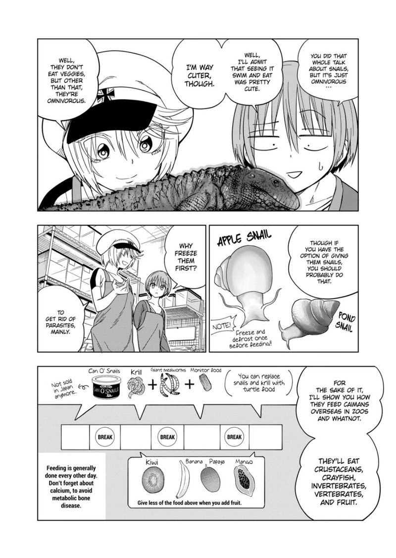 Himitsu No Reptiles Chapter 110 Page 14