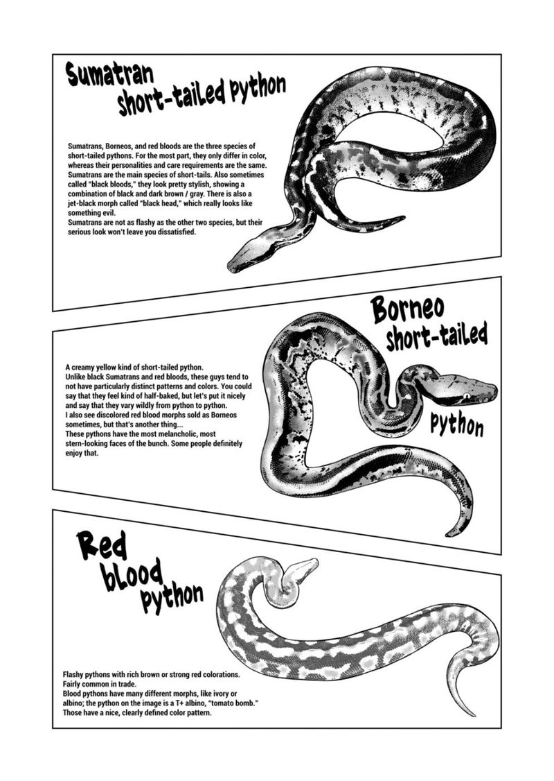 Himitsu No Reptiles Chapter 112 Page 10
