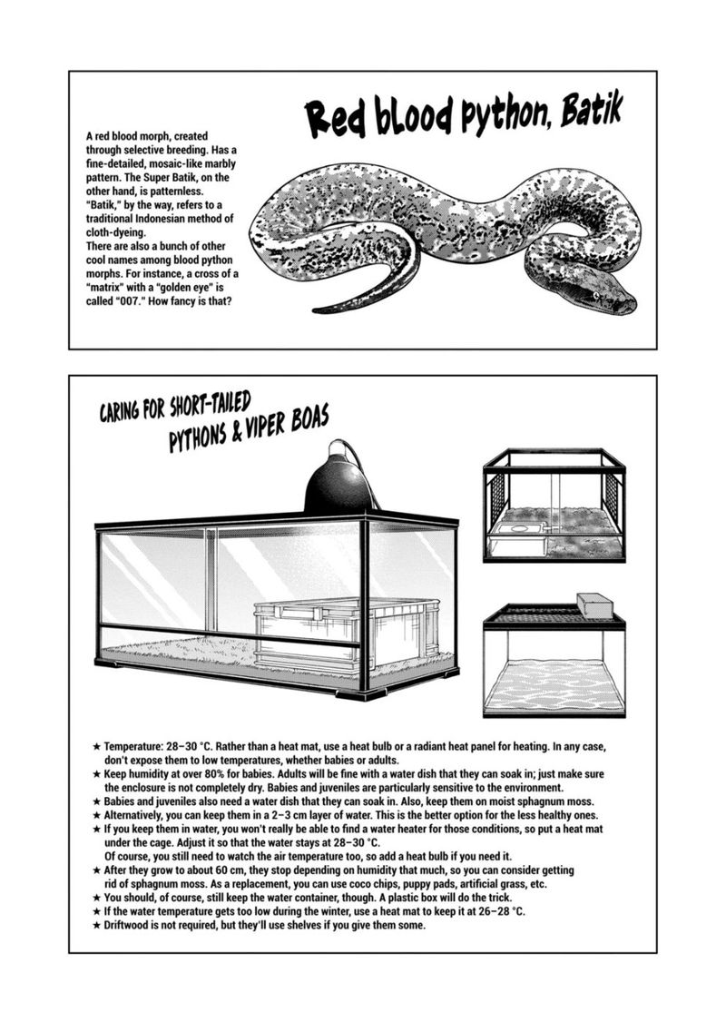 Himitsu No Reptiles Chapter 112 Page 11