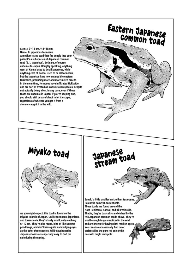 Himitsu No Reptiles Chapter 115 Page 12