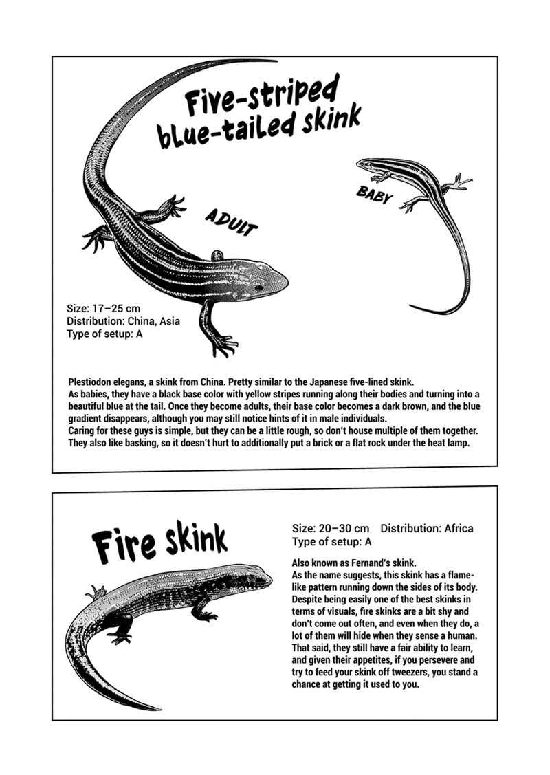 Himitsu No Reptiles Chapter 120 Page 13