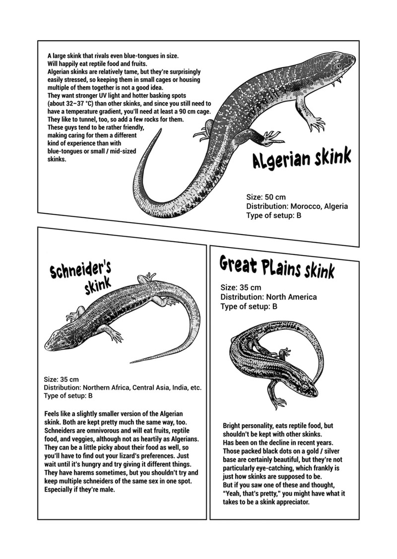 Himitsu No Reptiles Chapter 120 Page 14