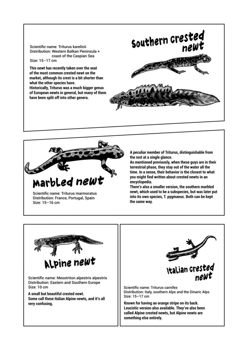Himitsu No Reptiles Chapter 122 Page 17