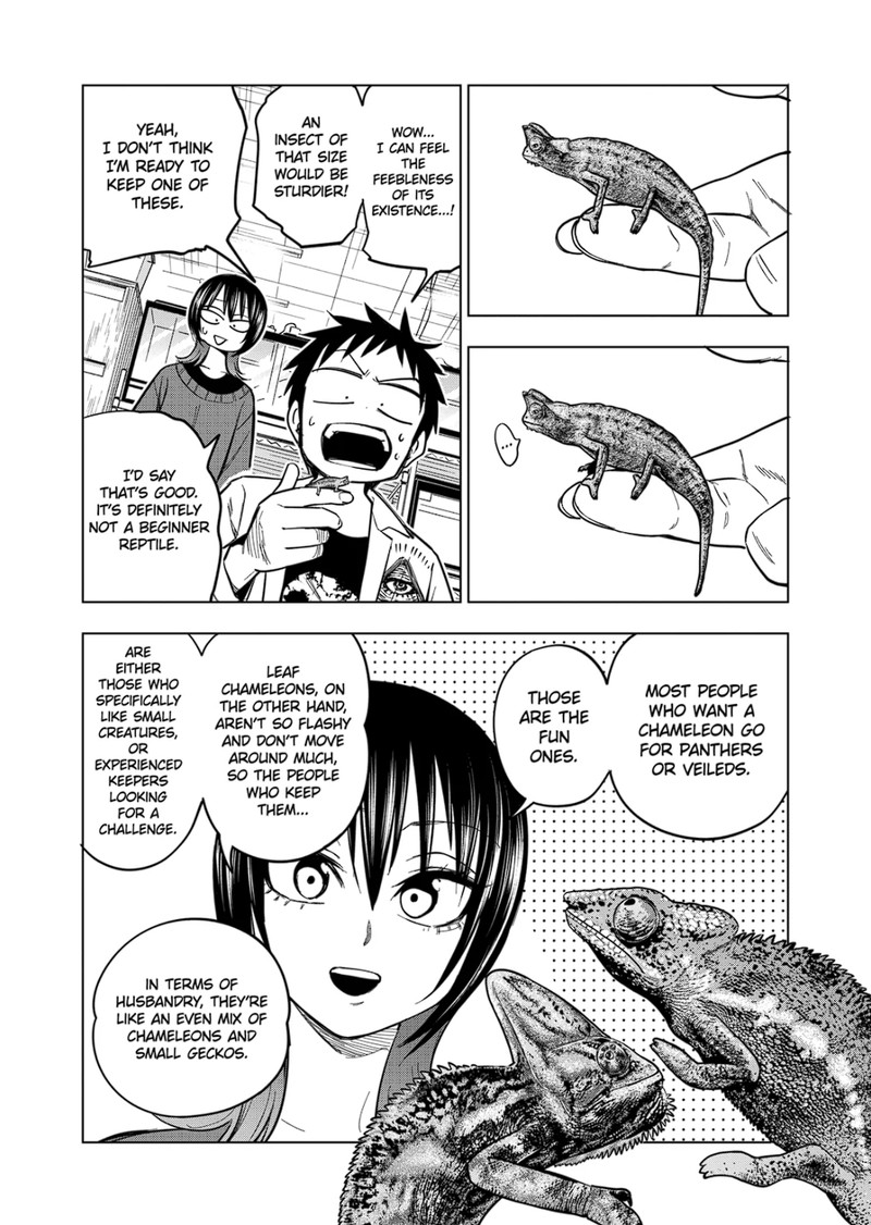 Himitsu No Reptiles Chapter 123 Page 13