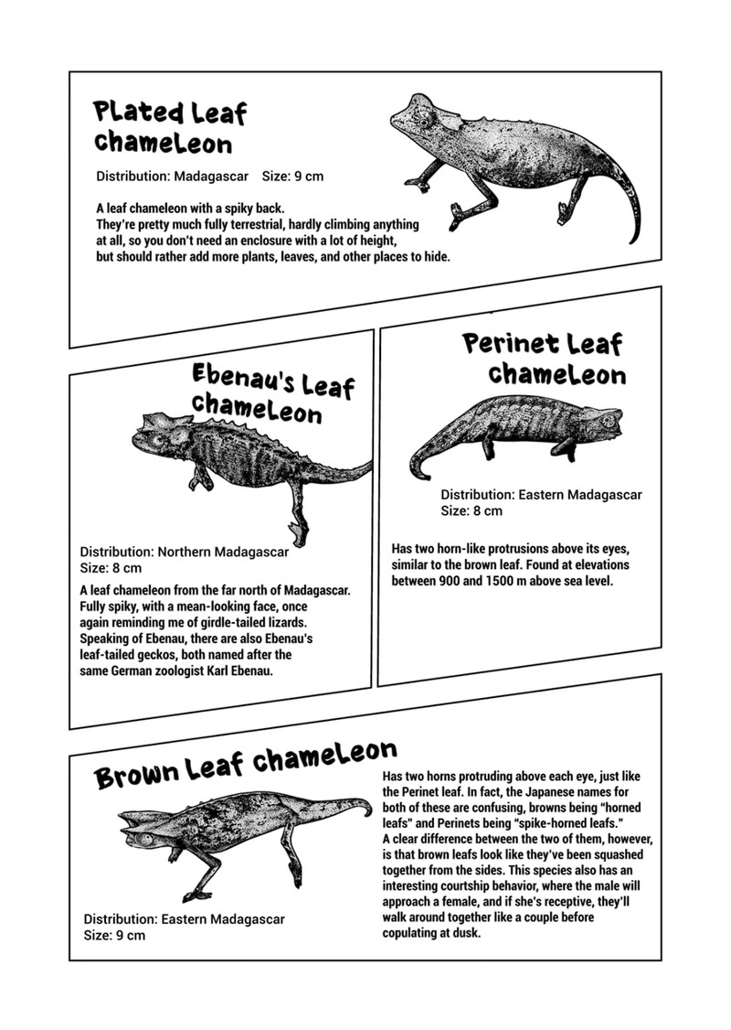 Himitsu No Reptiles Chapter 123 Page 8