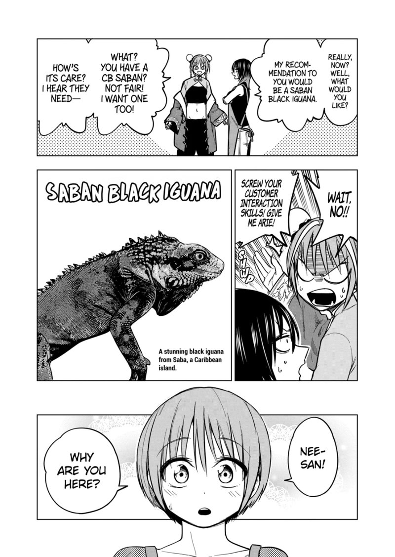 Himitsu No Reptiles Chapter 124 Page 2