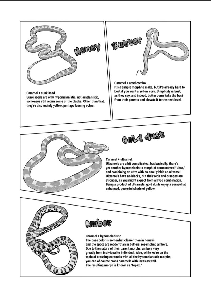 Himitsu No Reptiles Chapter 125 Page 10