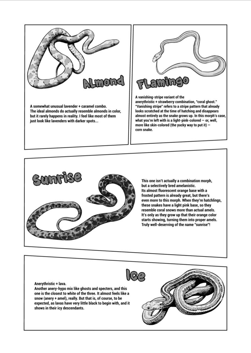 Himitsu No Reptiles Chapter 125 Page 12