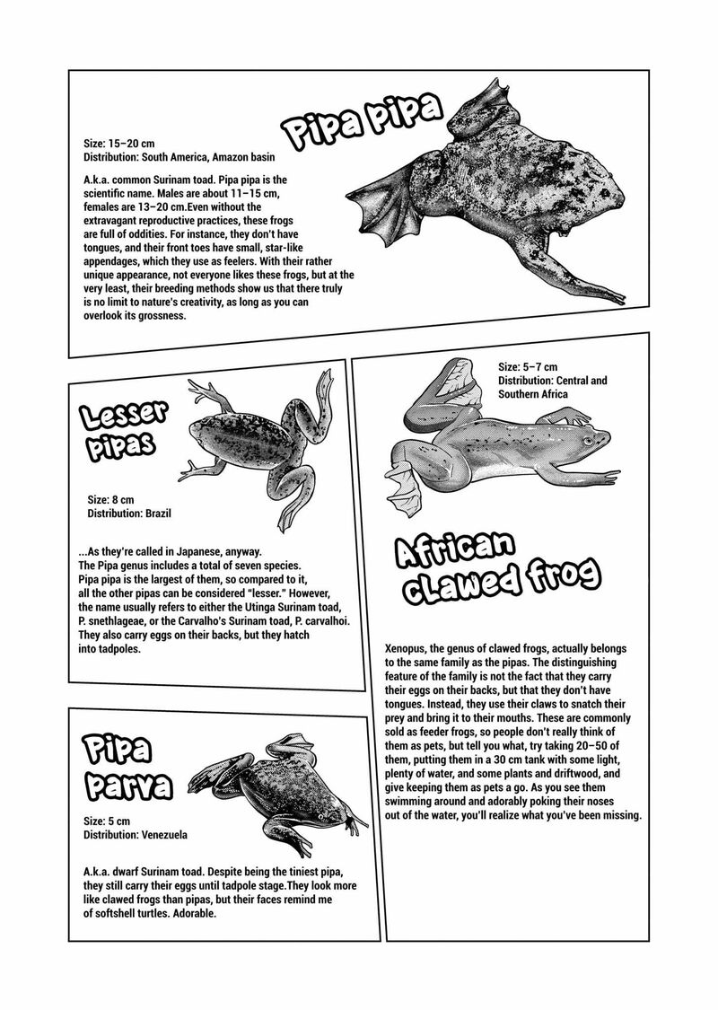 Himitsu No Reptiles Chapter 126 Page 17