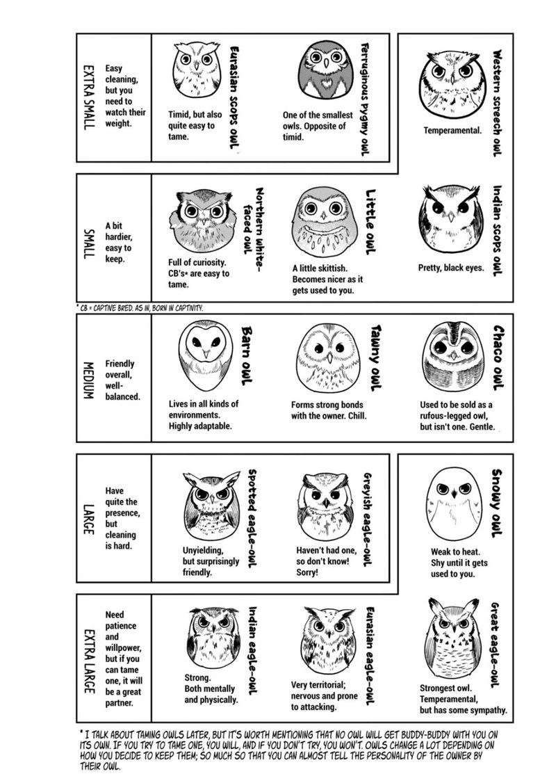 Himitsu No Reptiles Chapter 69 Page 9