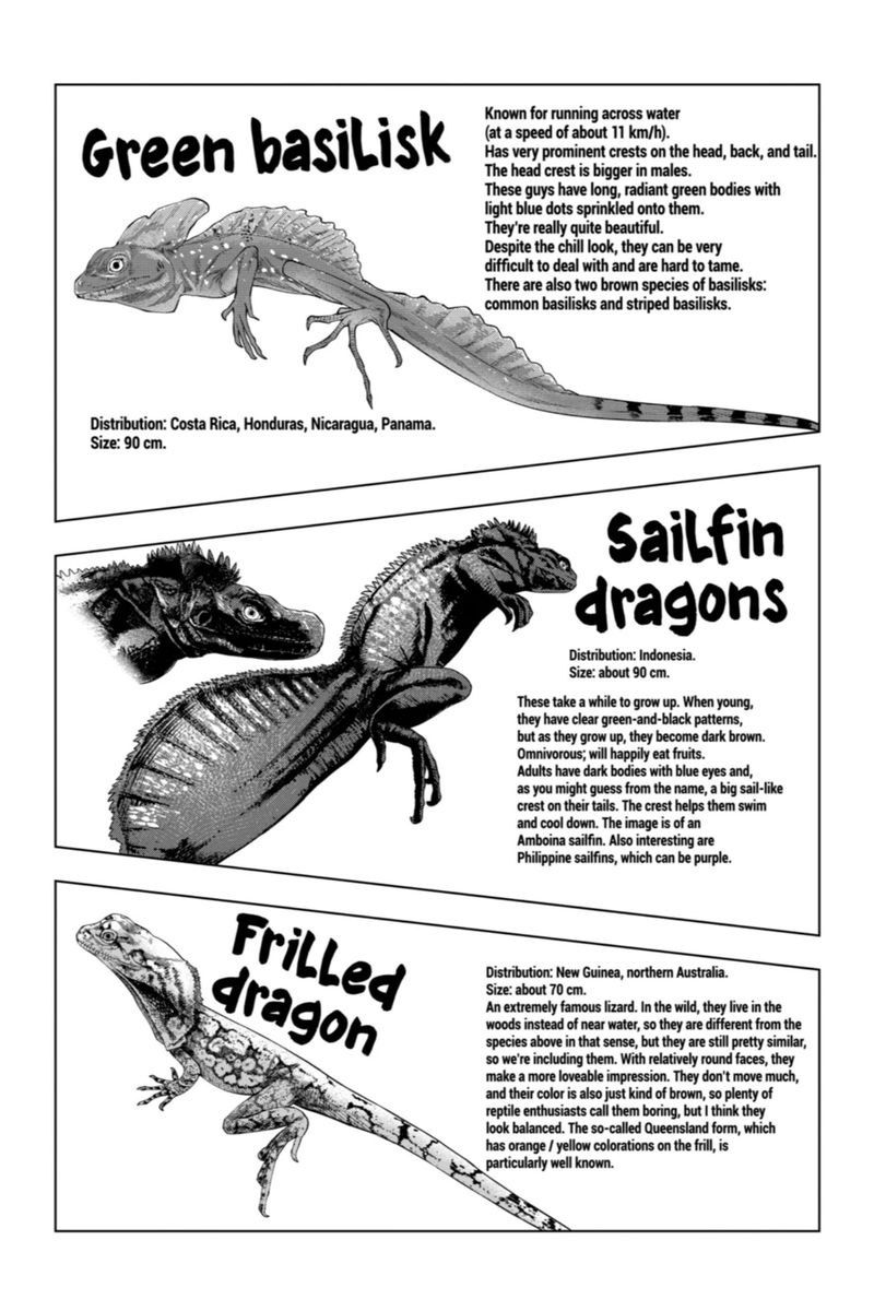 Himitsu No Reptiles Chapter 76 Page 13