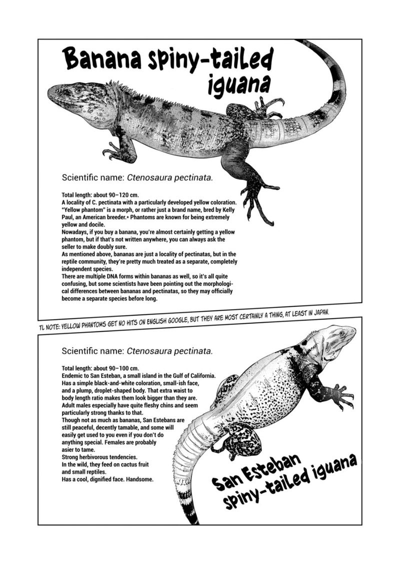 Himitsu No Reptiles Chapter 99 Page 7