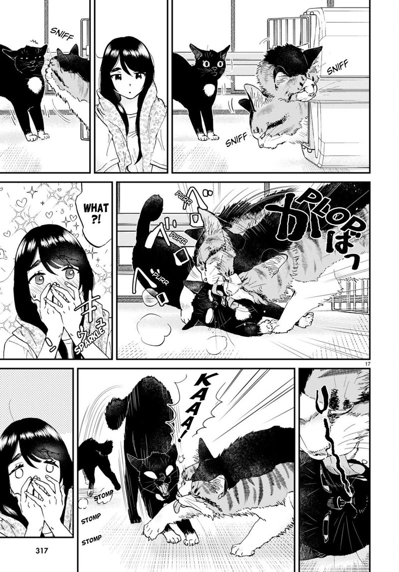 Hosomura San To Neko No Otsumami Chapter 12 Page 17