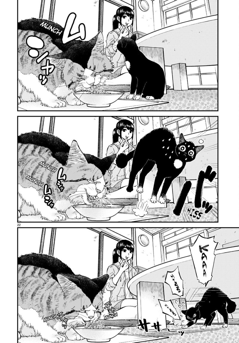 Hosomura San To Neko No Otsumami Chapter 12 Page 22