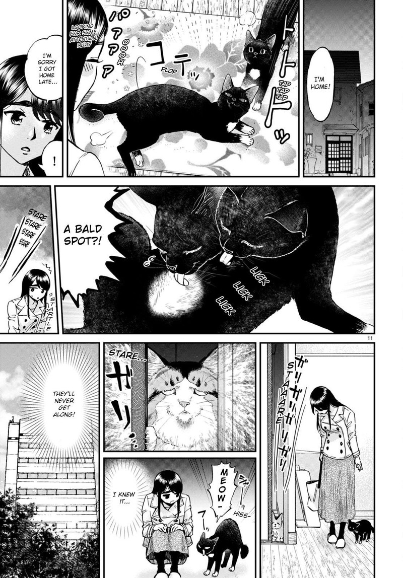 Hosomura San To Neko No Otsumami Chapter 13 Page 11