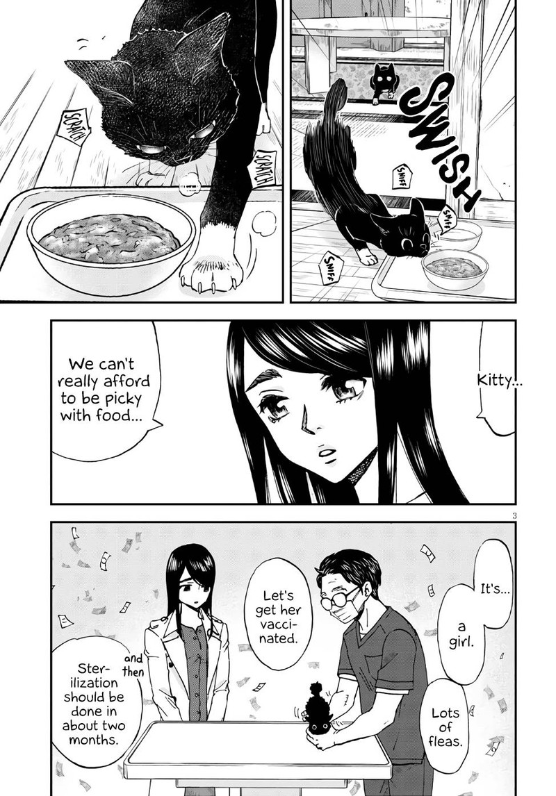 Hosomura San To Neko No Otsumami Chapter 2 Page 3