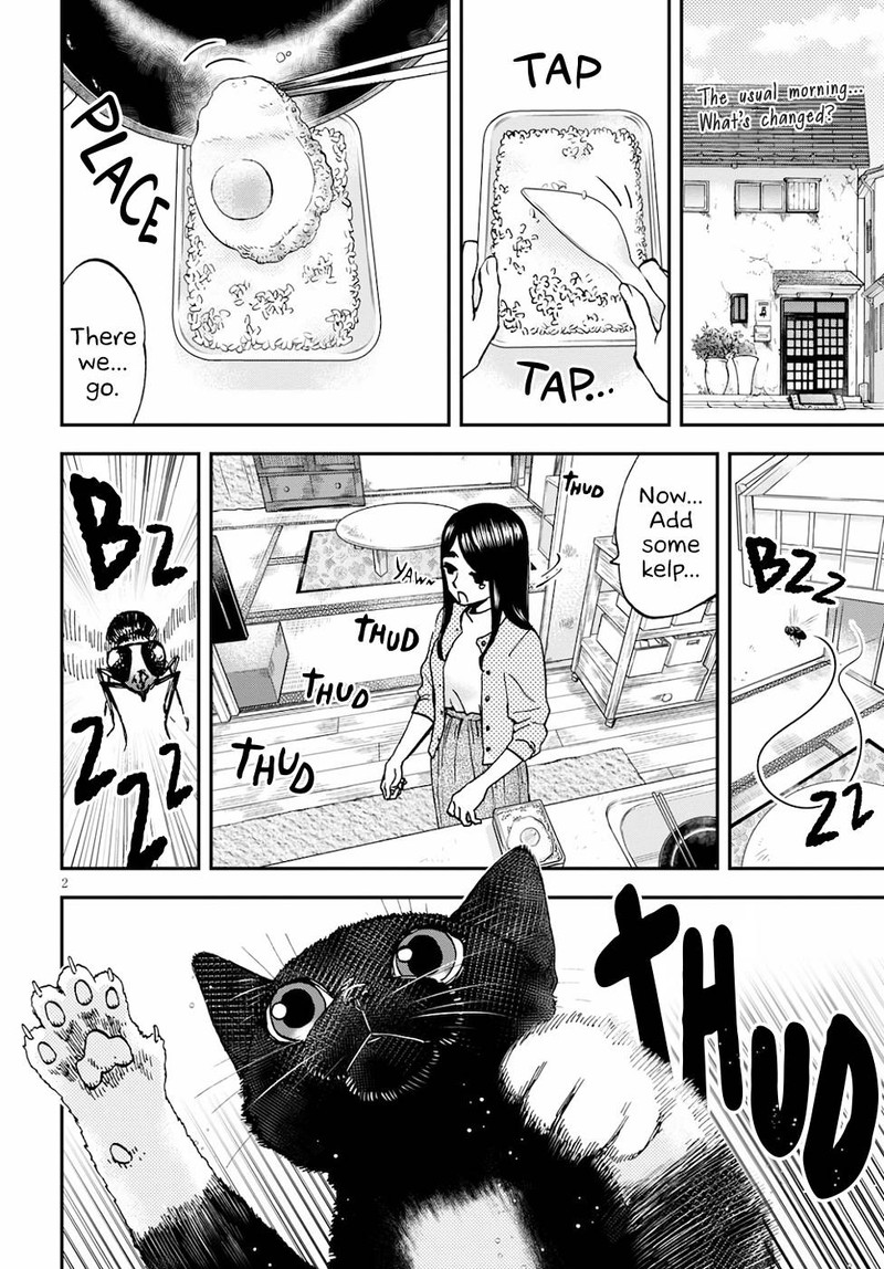Hosomura San To Neko No Otsumami Chapter 3 Page 2