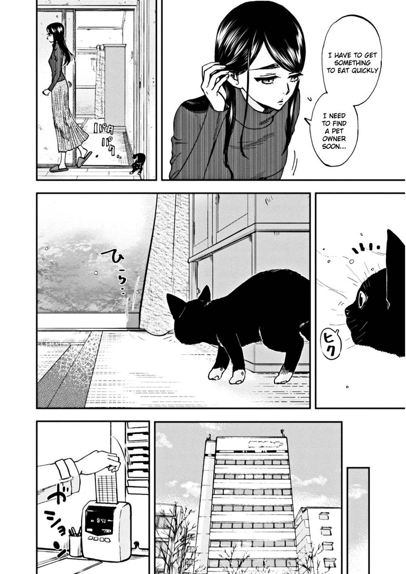 Hosomura San To Neko No Otsumami Chapter 4 Page 4