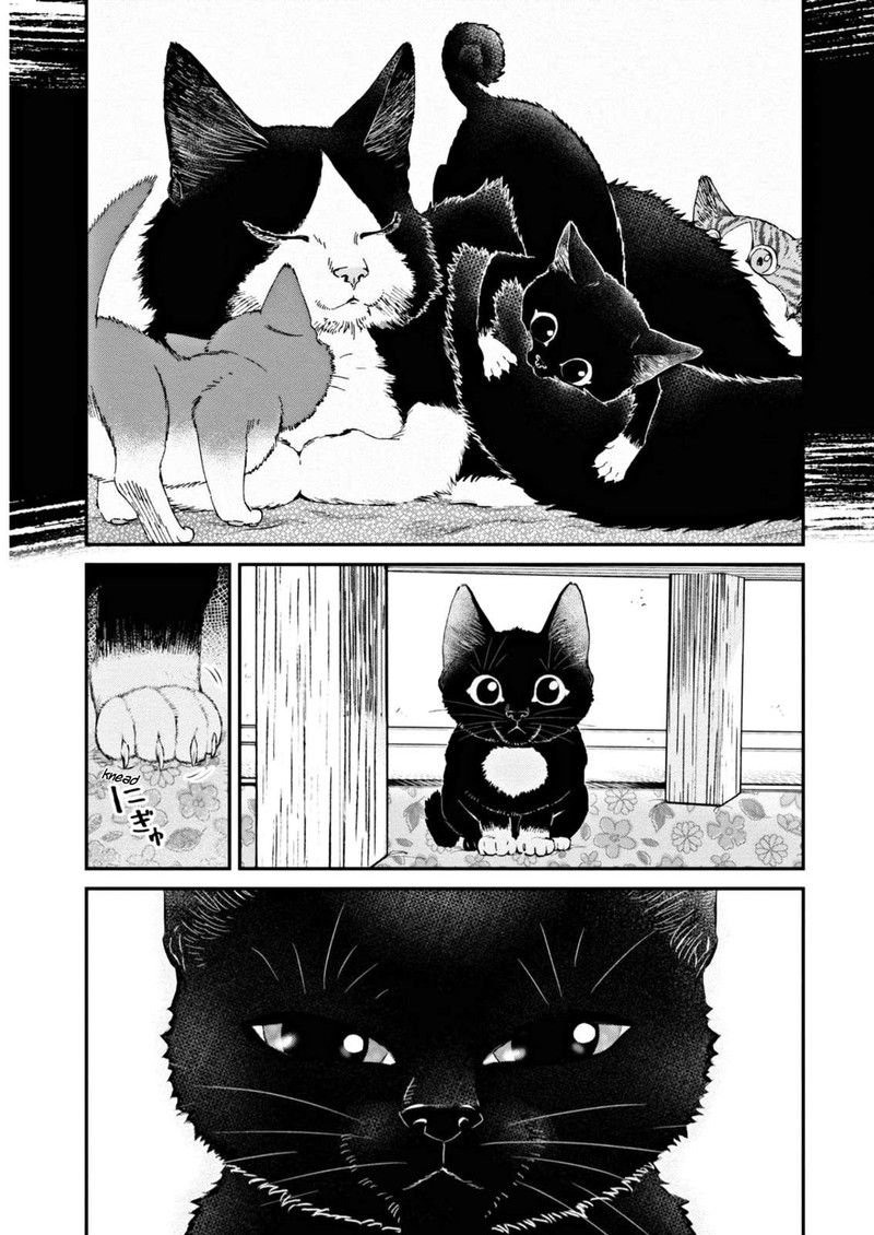 Hosomura San To Neko No Otsumami Chapter 7 Page 13