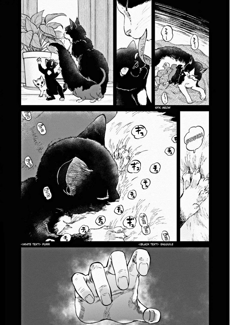 Hosomura San To Neko No Otsumami Chapter 7 Page 2