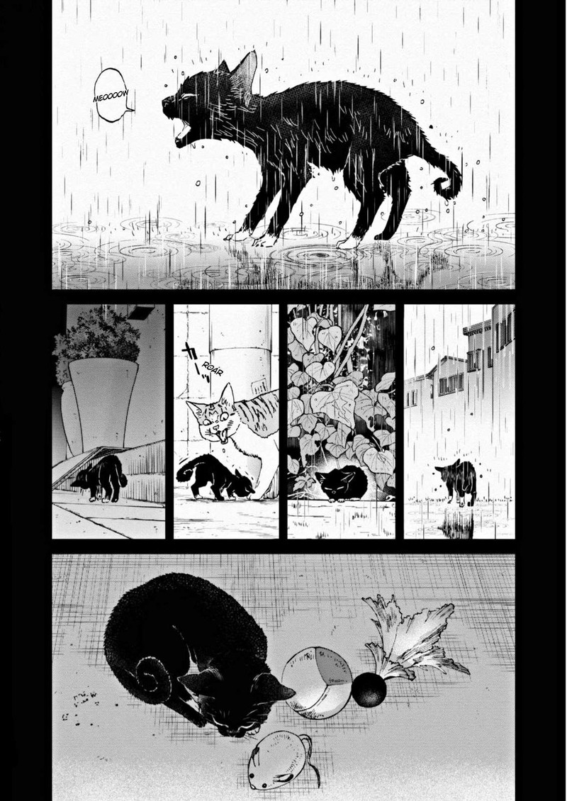 Hosomura San To Neko No Otsumami Chapter 7 Page 8