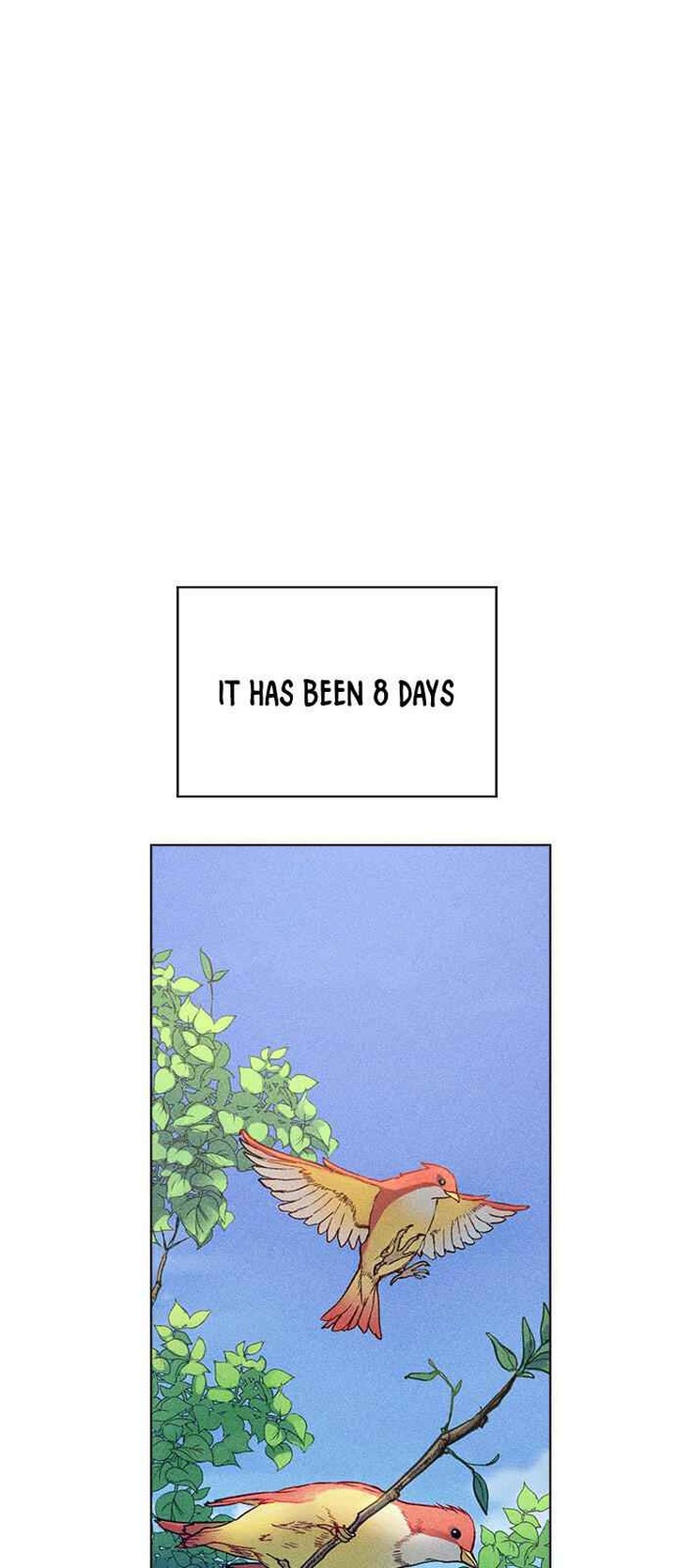 Housekeeper Chae Yong Taek Chapter 15 Page 12