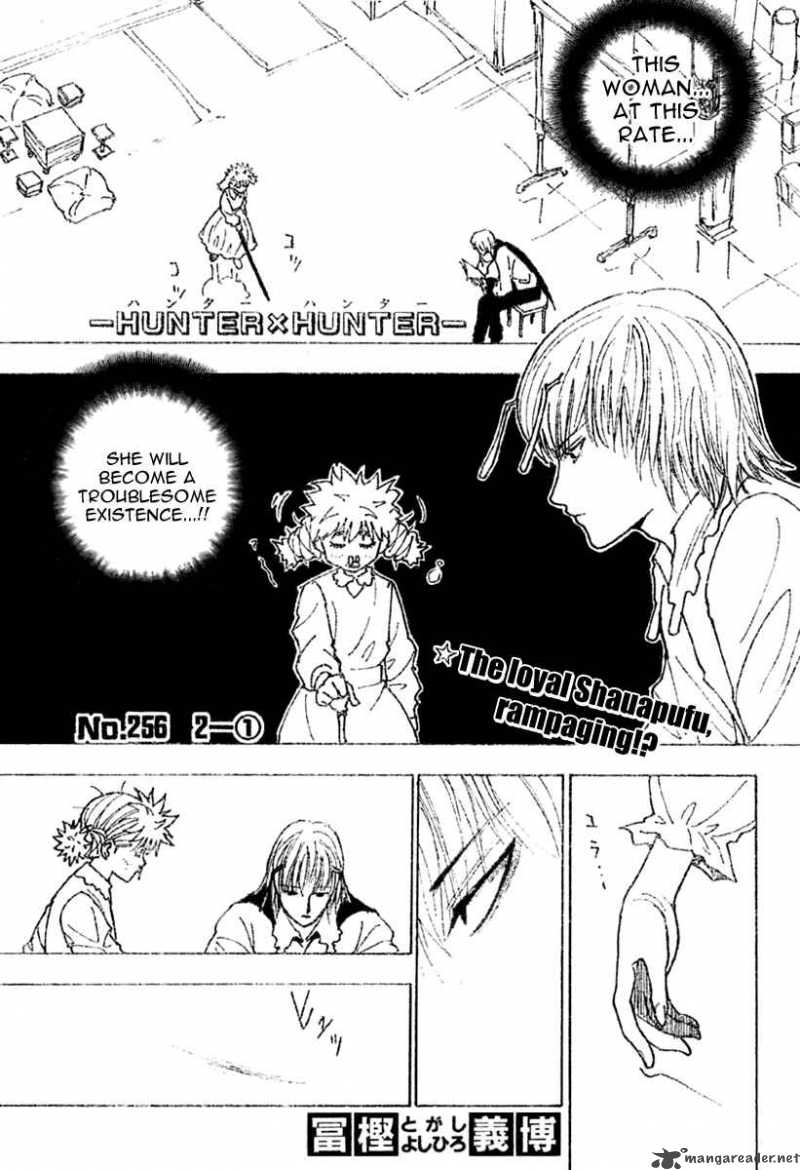 Hunter X Hunter Chapter 256 Page 1