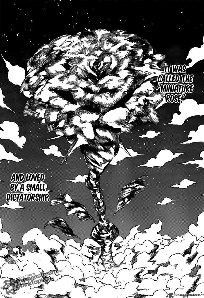 Hunter X Hunter Chapter 298 Page 8