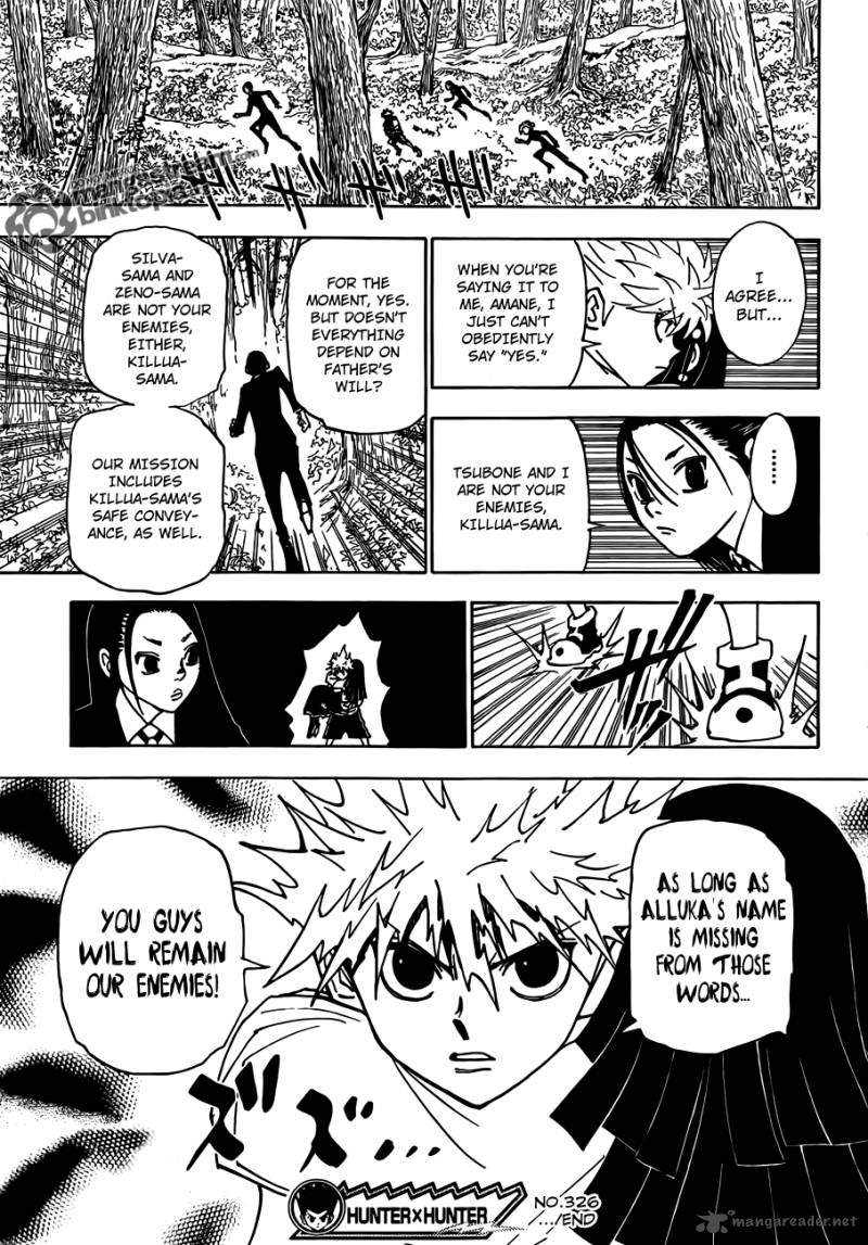 Hunter X Hunter Chapter 326 Page 19