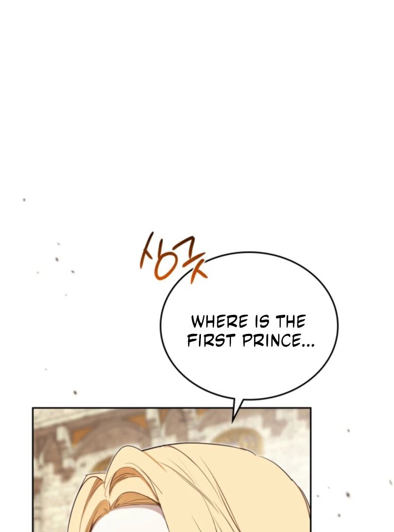 I Shall Master This Family Chapter 201 Page 14