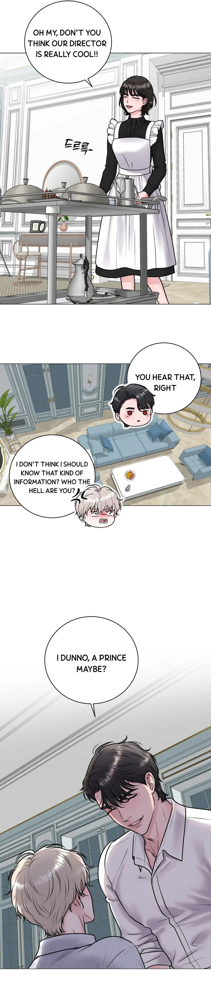 Illusion Leo Chapter 2 Page 13