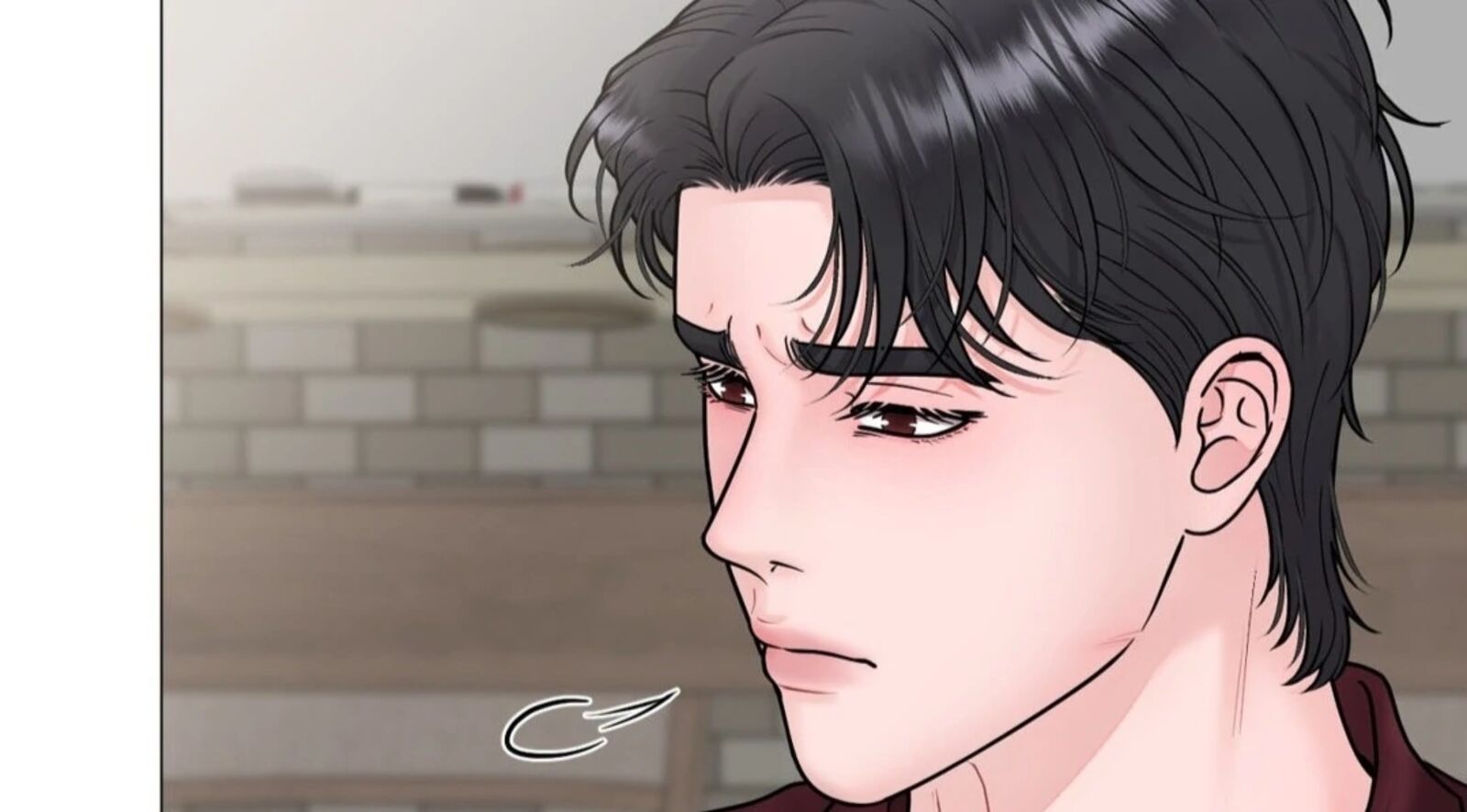 Illusion Leo Chapter 28 Page 14