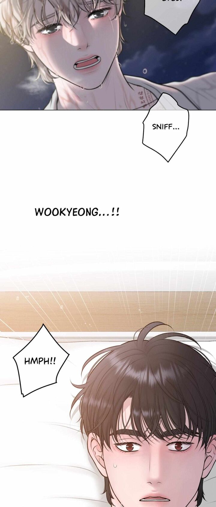 Illusion Leo Chapter 37 Page 17