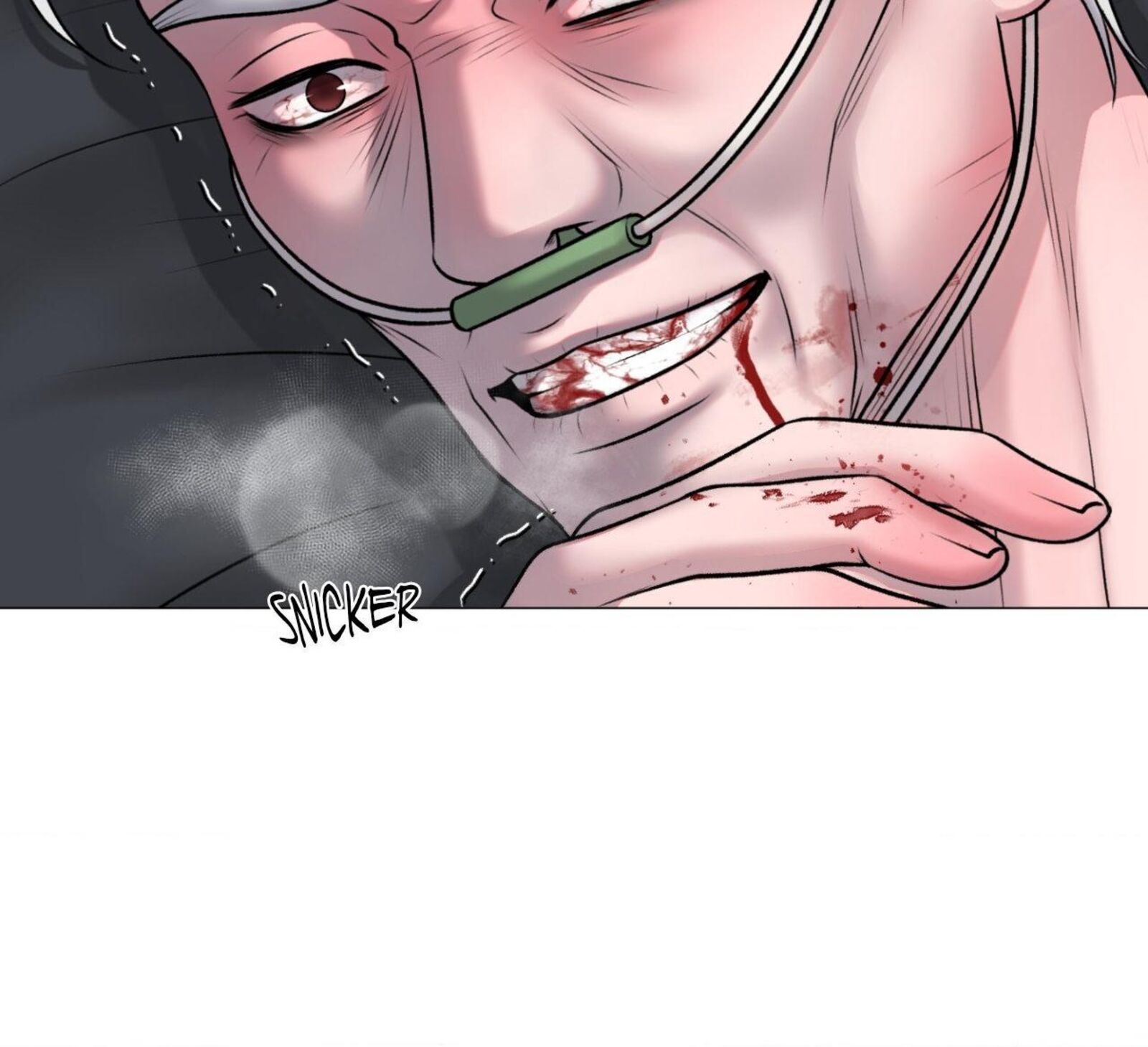 Illusion Leo Chapter 41 Page 14