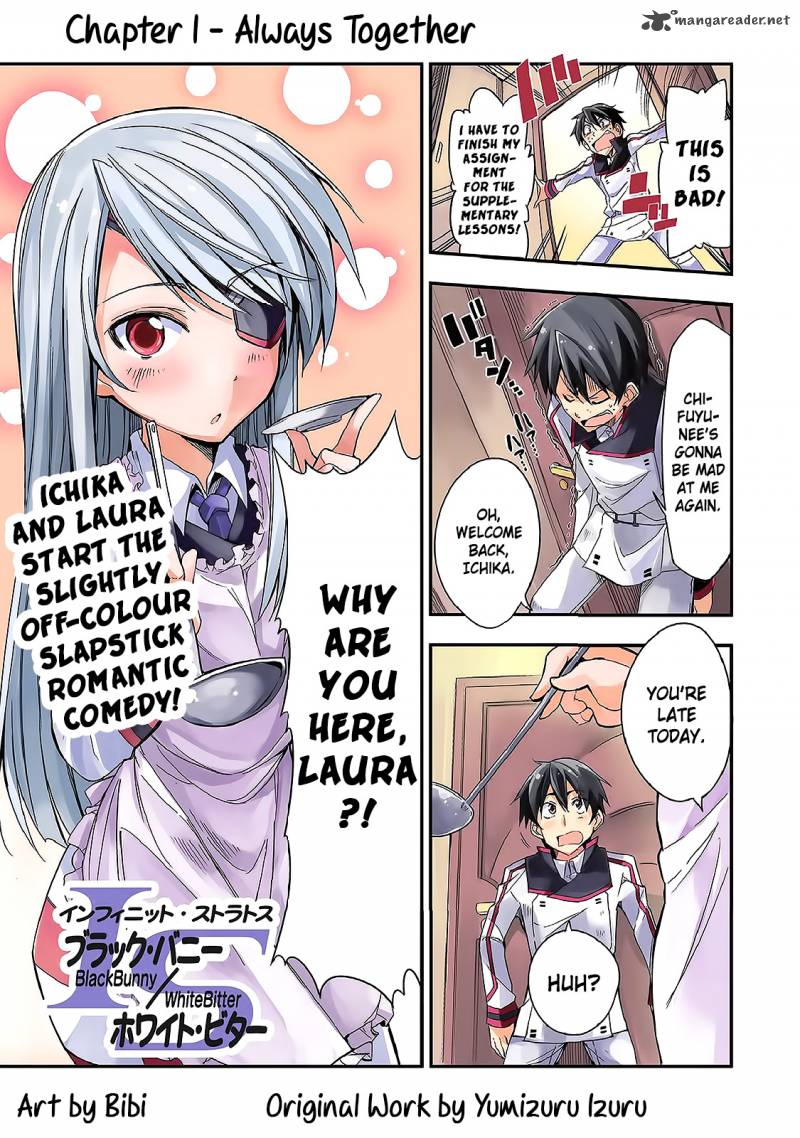 Infinite Stratos Black Bunny White Bitter Chapter 1 Page 1