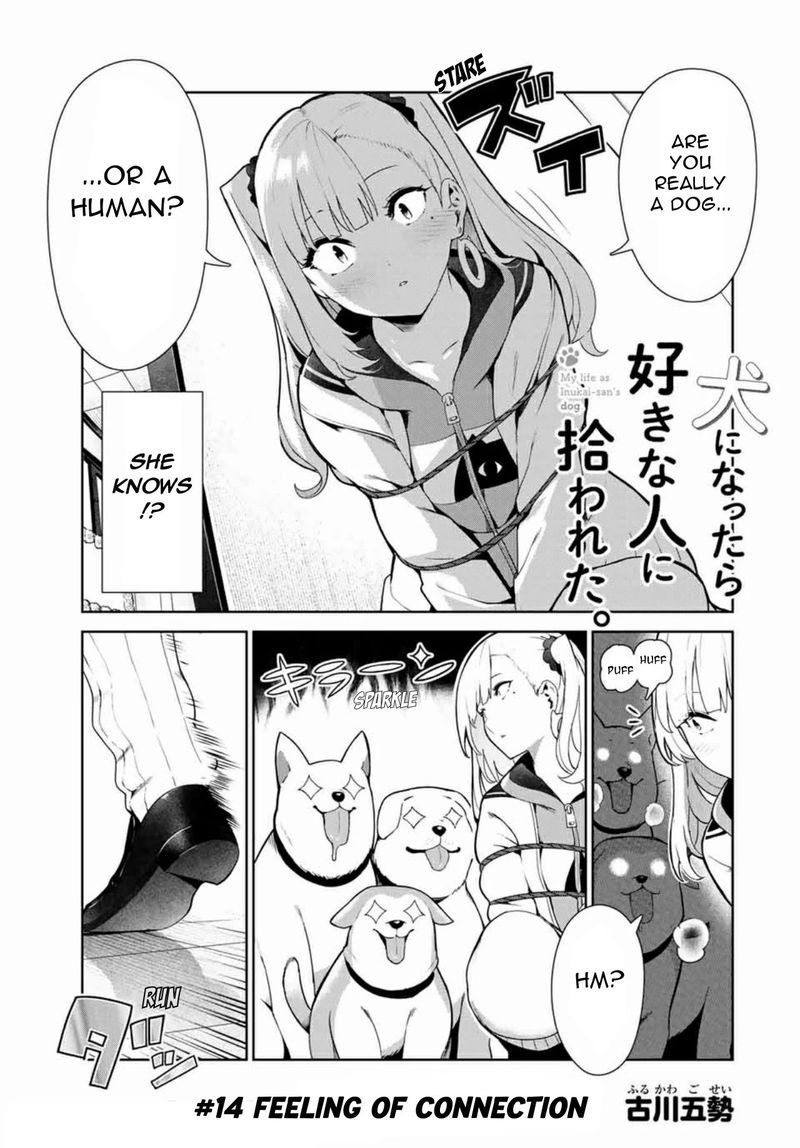 Inu Ni Nattara Suki Na Hito Ni Hirowareta Chapter 14 Page 1