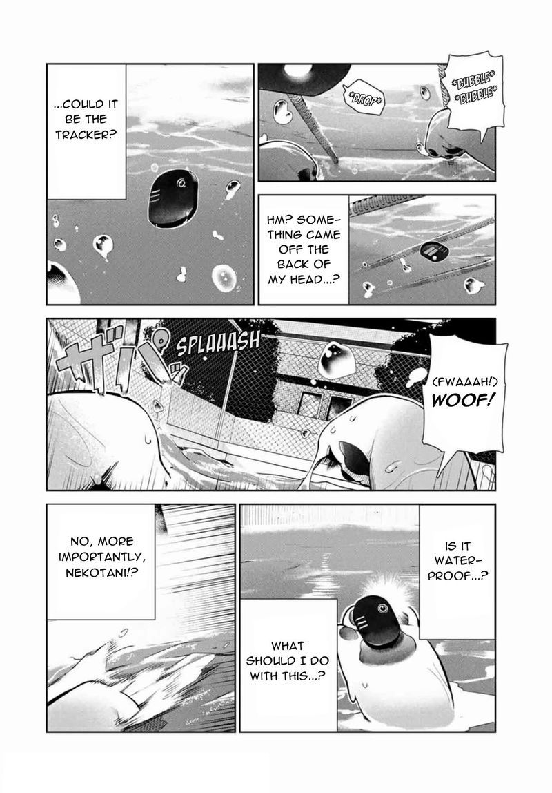 Inu Ni Nattara Suki Na Hito Ni Hirowareta Chapter 14 Page 6