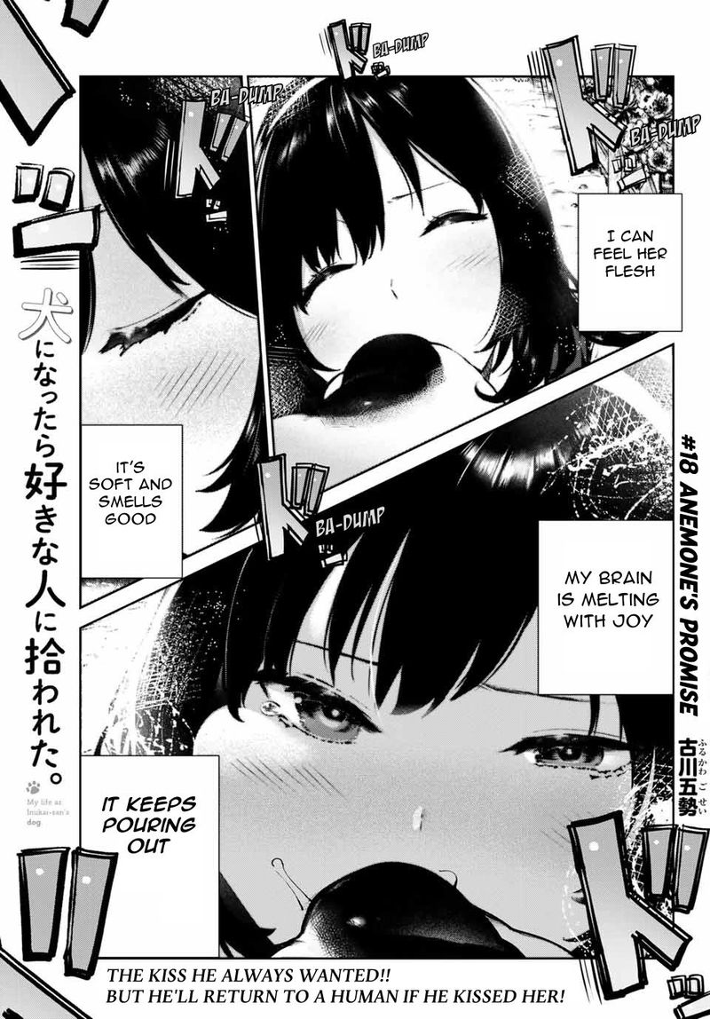 Inu Ni Nattara Suki Na Hito Ni Hirowareta Chapter 18 Page 1