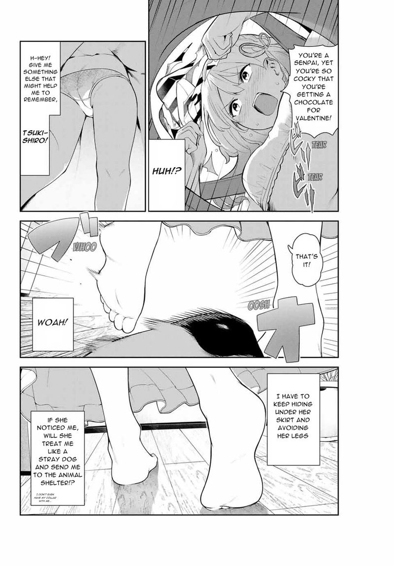 Inu Ni Nattara Suki Na Hito Ni Hirowareta Chapter 8 Page 4