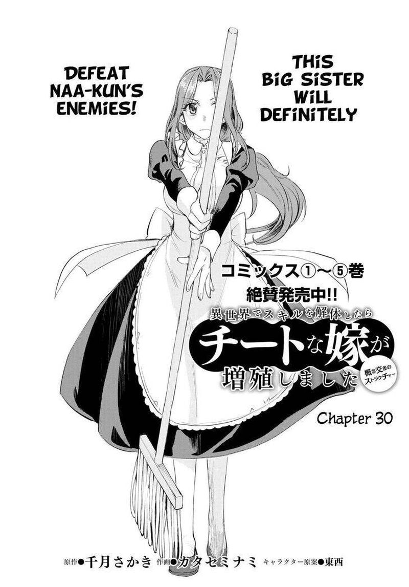 Isekai De Skill Wo Kaitai Shitara Cheat Na Yome Ga Zoushoku Shimashita Gainen Kousa No Structure Chapter 30 Page 2