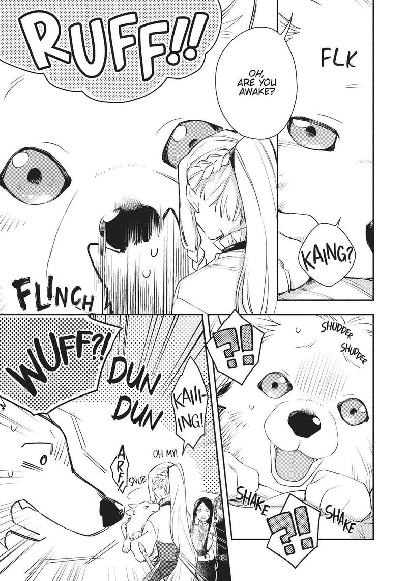 Isekai Tensei Shitara Aiken Ga Saikyou Ni Narimashita Chapter 17 Page 21