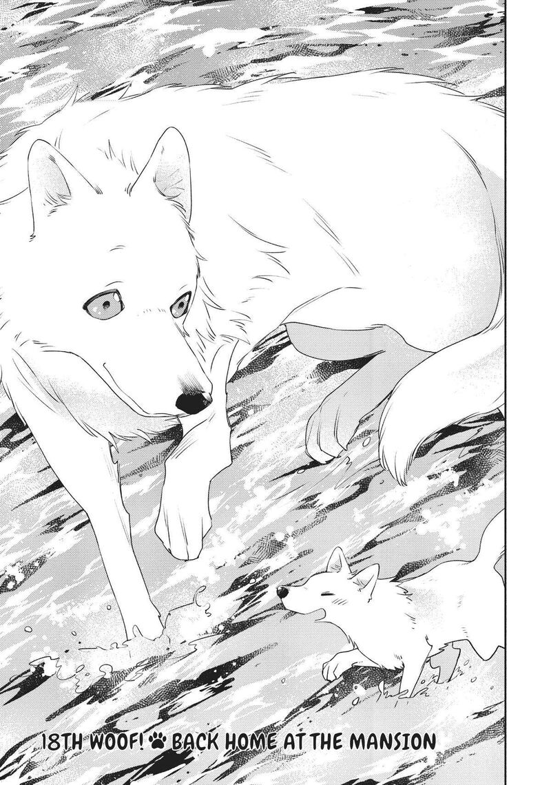 Isekai Tensei Shitara Aiken Ga Saikyou Ni Narimashita Chapter 18 Page 1