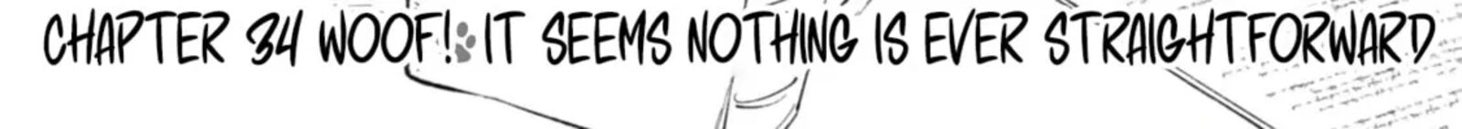 Isekai Tensei Shitara Aiken Ga Saikyou Ni Narimashita Chapter 34 Page 4