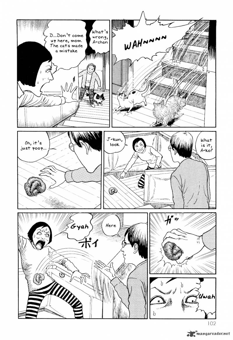 Ito Junjis Cat Diary Chapter 10 Page 2