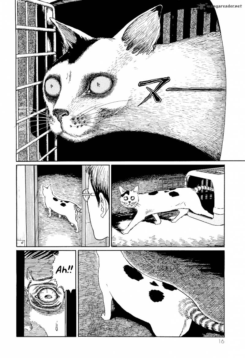 Ito Junjis Cat Diary Chapter 2 Page 4