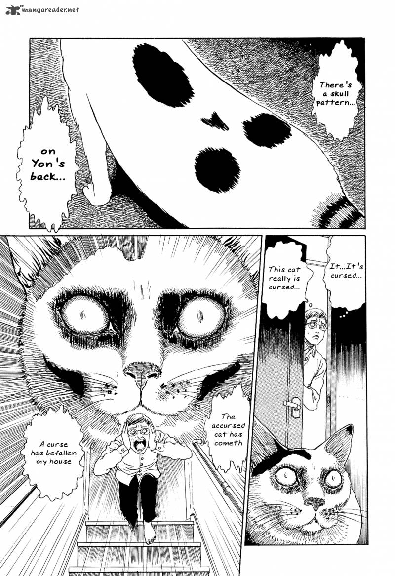 Ito Junjis Cat Diary Chapter 2 Page 5