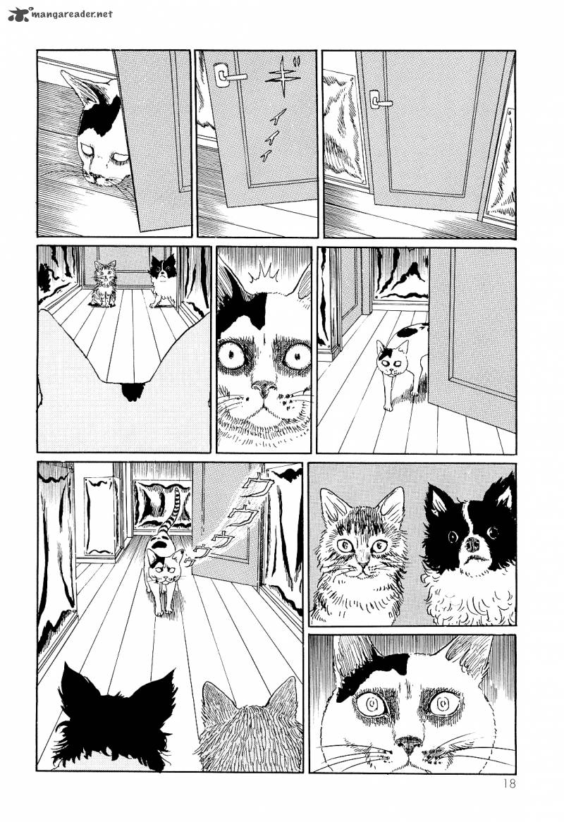 Ito Junjis Cat Diary Chapter 2 Page 6