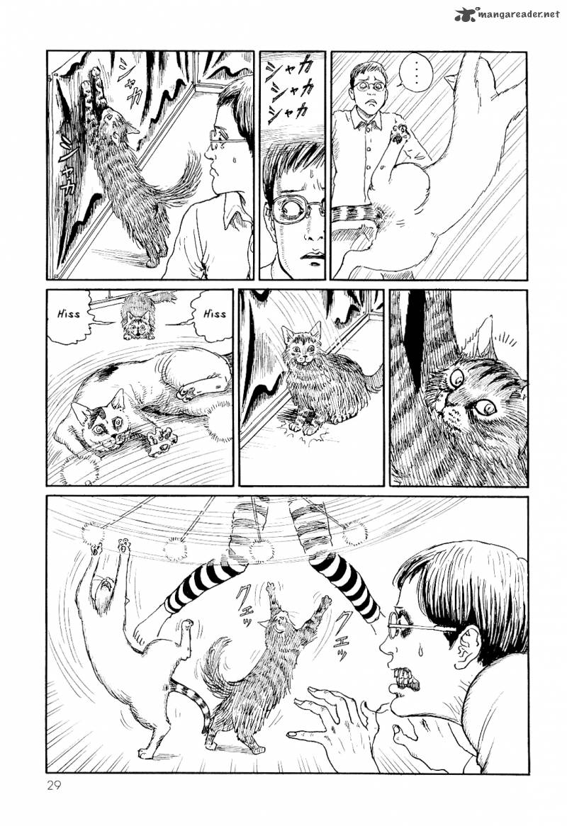 Ito Junjis Cat Diary Chapter 3 Page 5