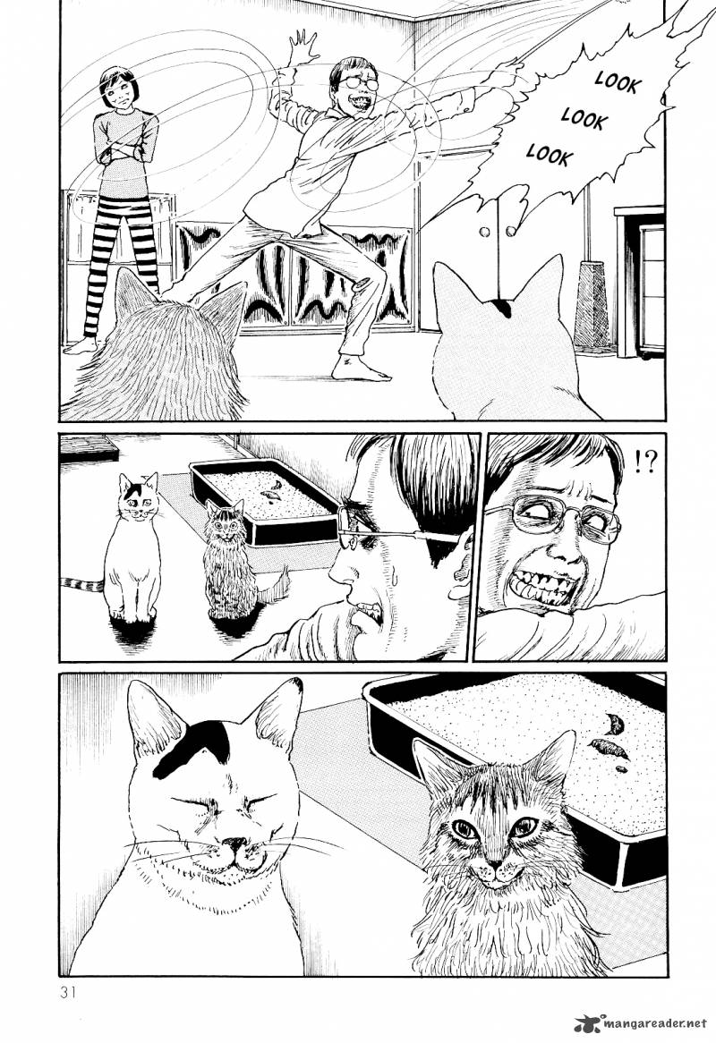 Ito Junjis Cat Diary Chapter 3 Page 7